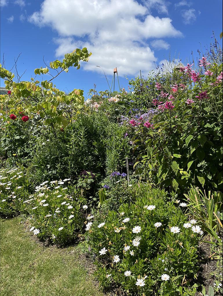 November Garden Trip